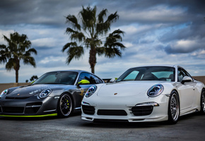 white, silver, sky, front, Porsche, palm, белый, порше, 911, небо, серебро