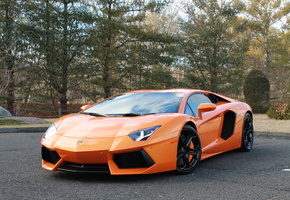 orange, , aventador, , Lamborghini, lp700-4