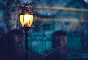 освещение, деревья, зима, Фонарь, снег, свет, ночь, дома