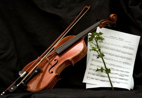 ноты, музыка, Скрипка