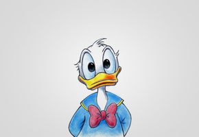Дональд дак, donald fauntleroy duck, walt disney, светлый фон, утка