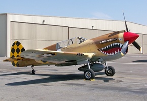 Curtiss p-40, &amp;quot;tomahawk&amp;quot;, 