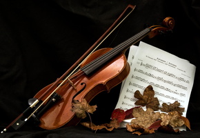 Скрипка, ноты, музыка