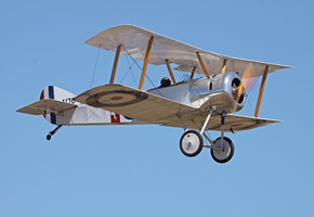 historical, ,  , sopwith pup, Military, , club