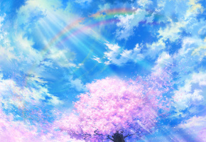 сакура, радуга, природа, tsujiki, облака, Арт, небо