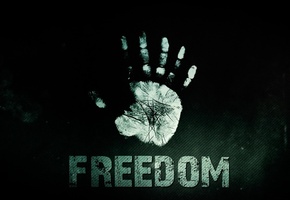 , 2013, freedom, ,  , 