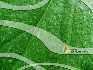  , windows, , , 