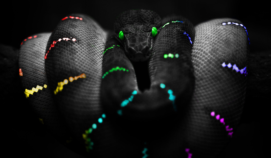 colours, , snake, ,  , , 