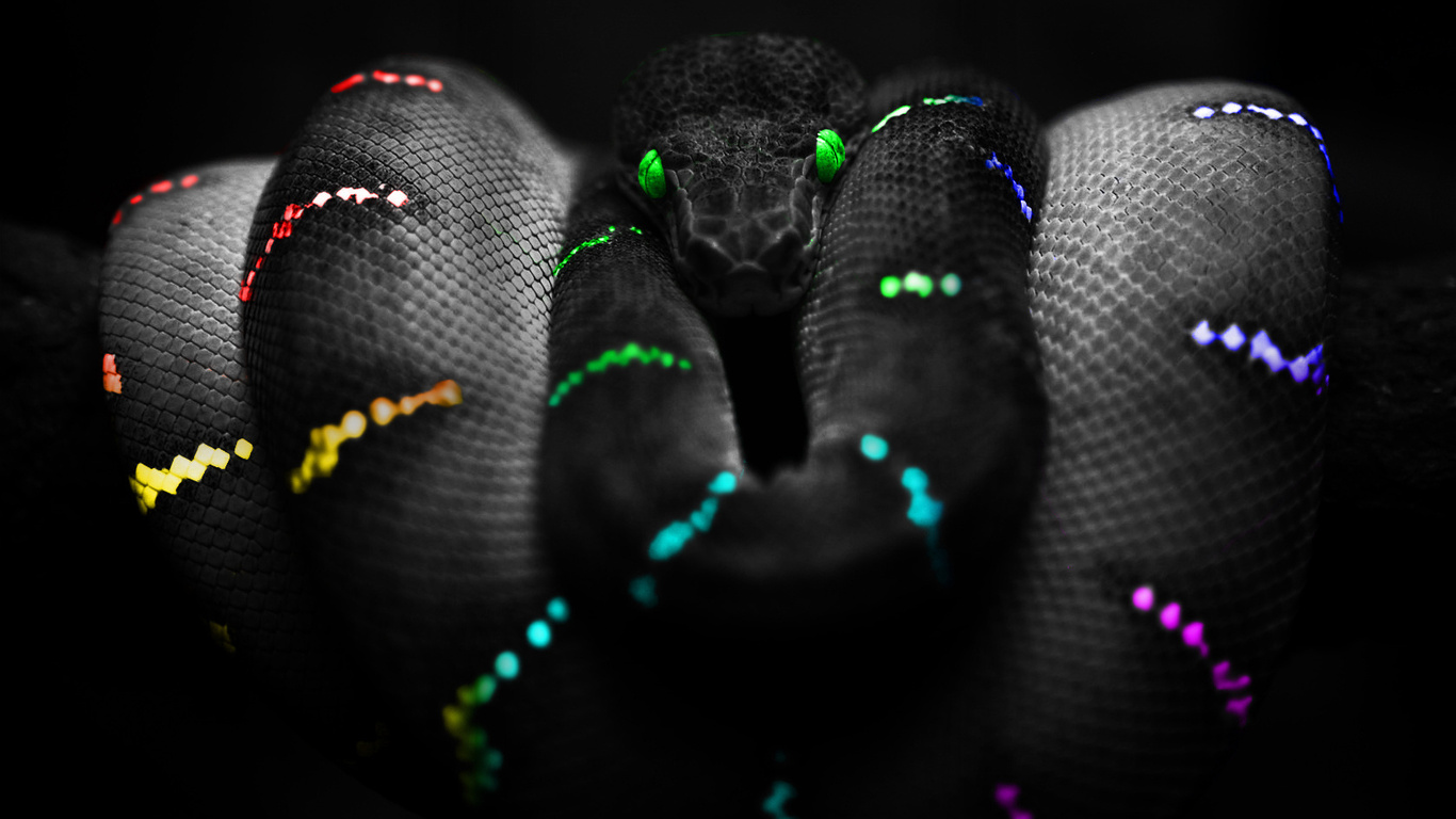 colours, , snake, ,  , , 