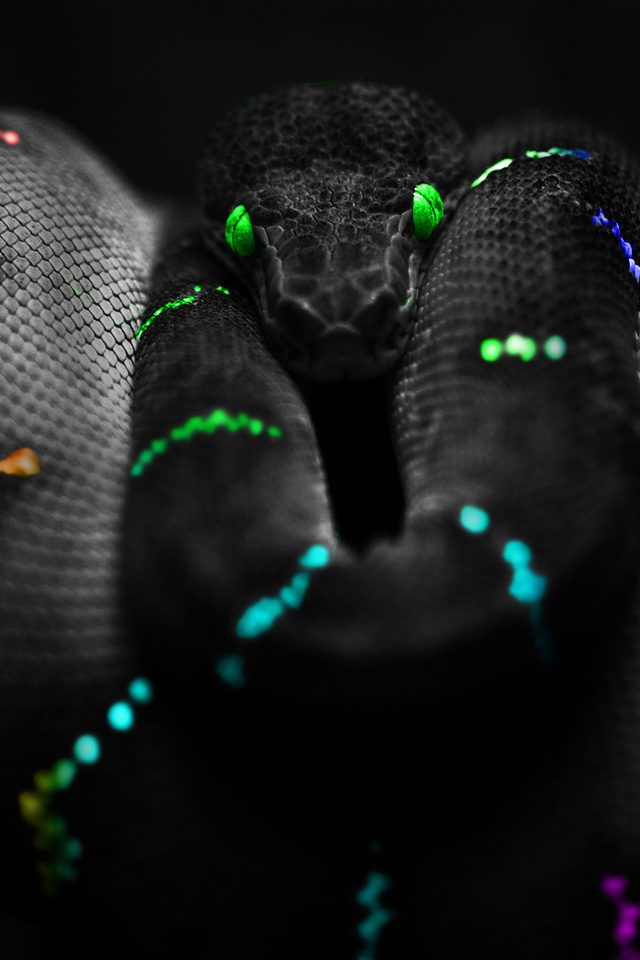 colours, , snake, ,  , , 