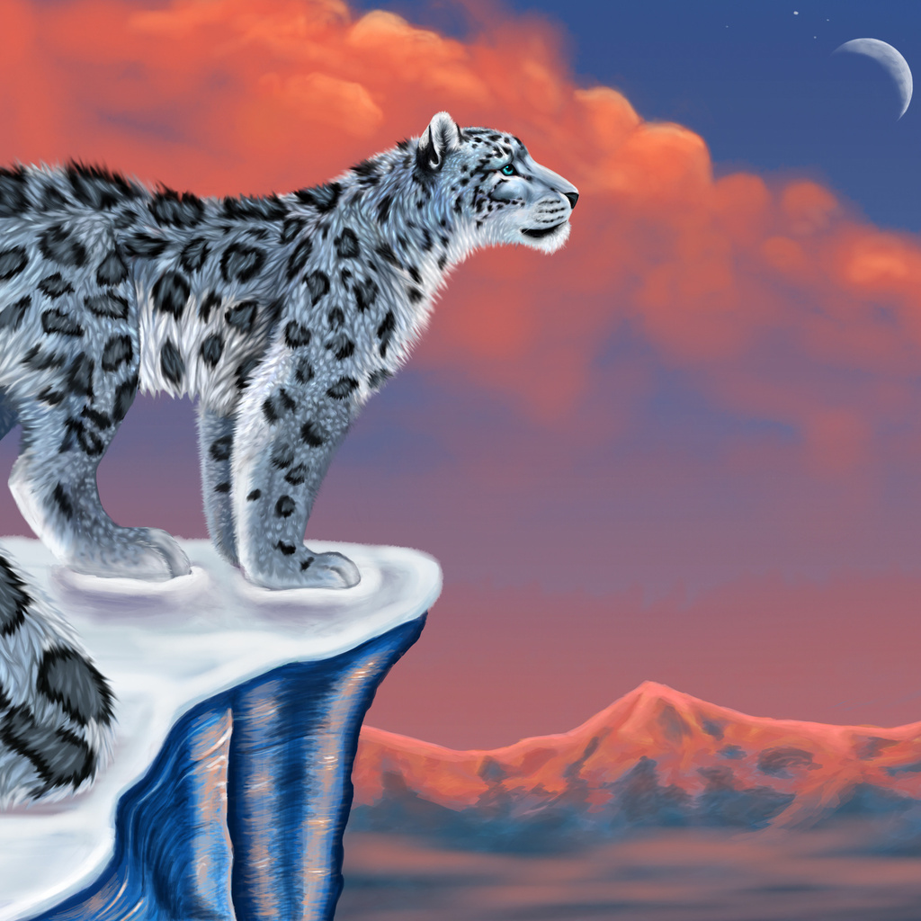 , , snow leopard,  , , , , , 