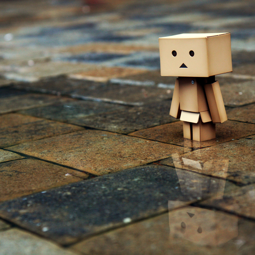 , , , Danbo, , , , , 