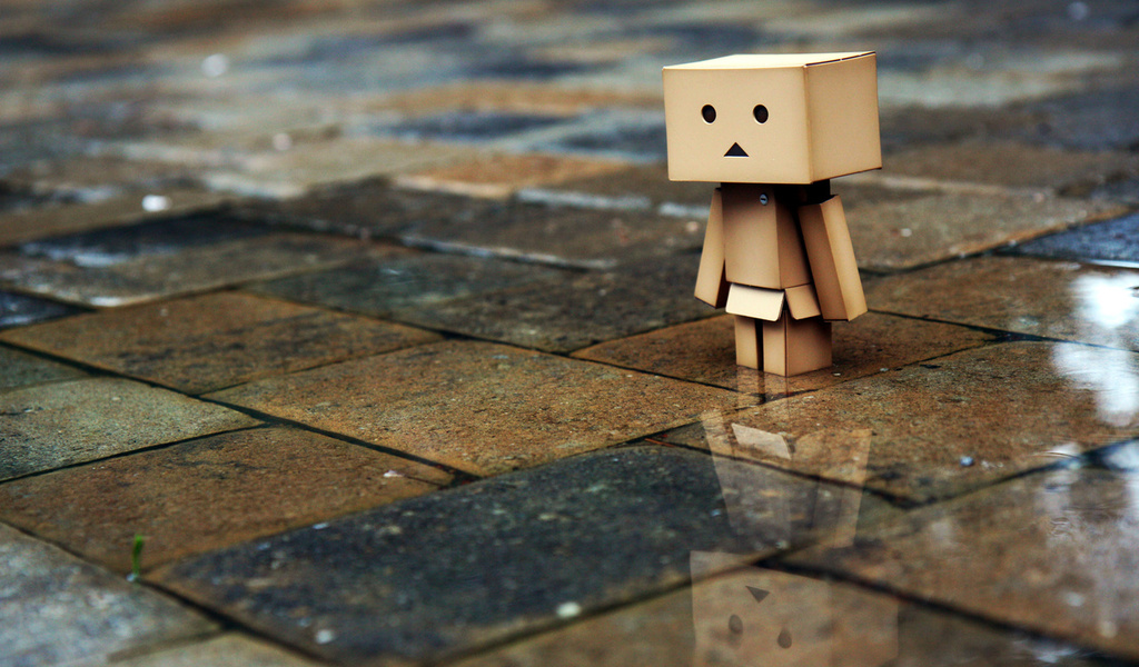 , , , Danbo, , , , , 