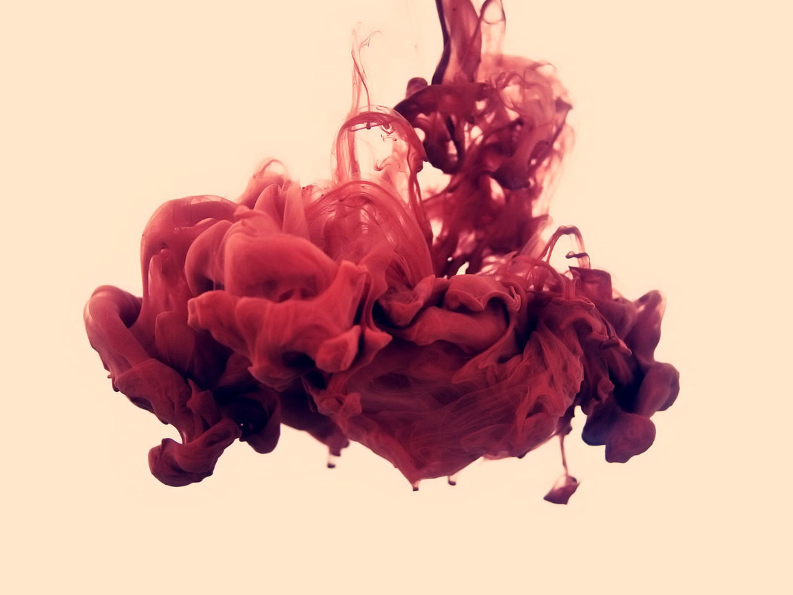 , , disastro ecologico, alberto seveso, , , . 