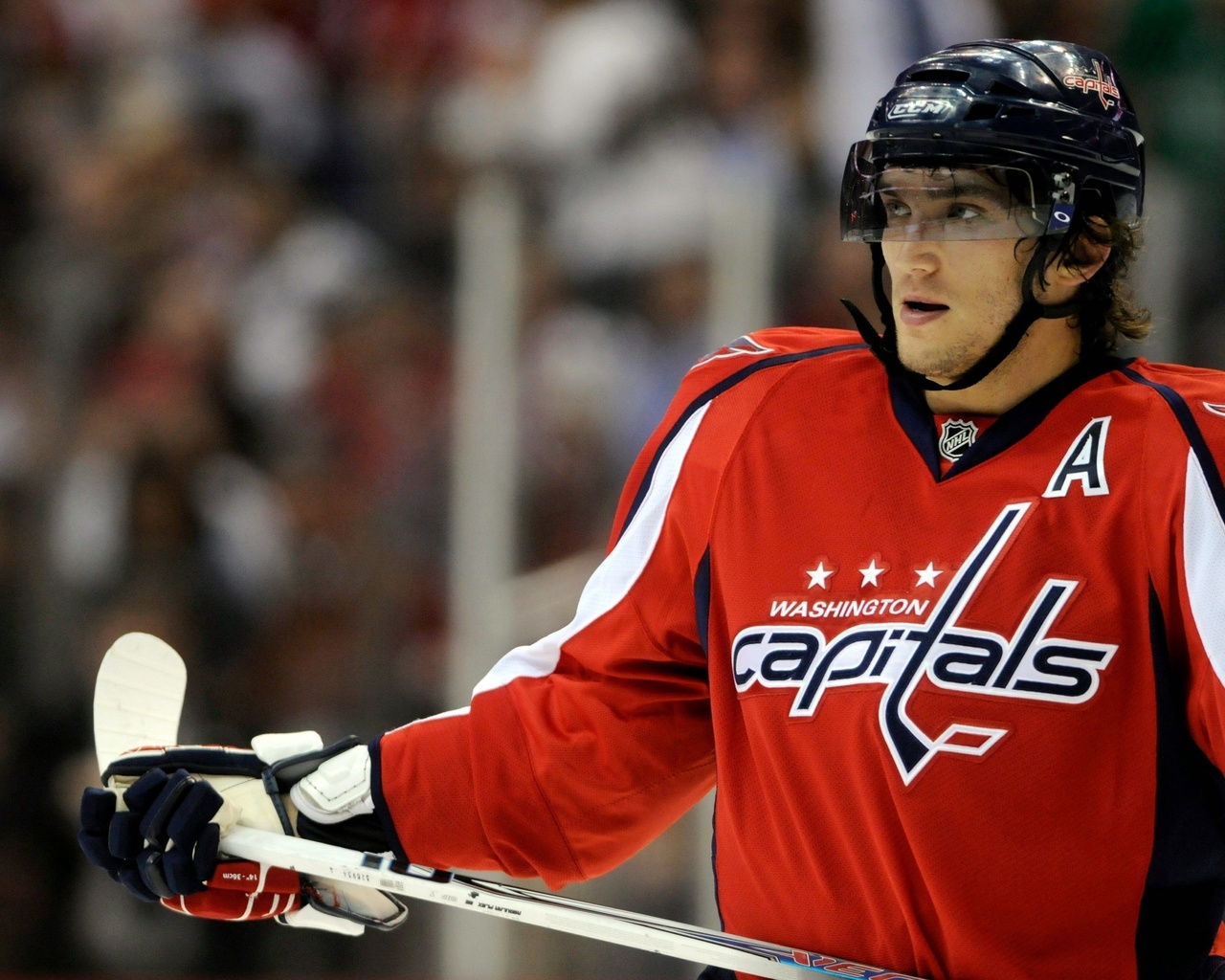 , , , washington capitals, , , 