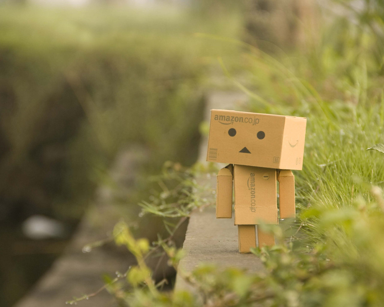 Danbo, , , , , , 