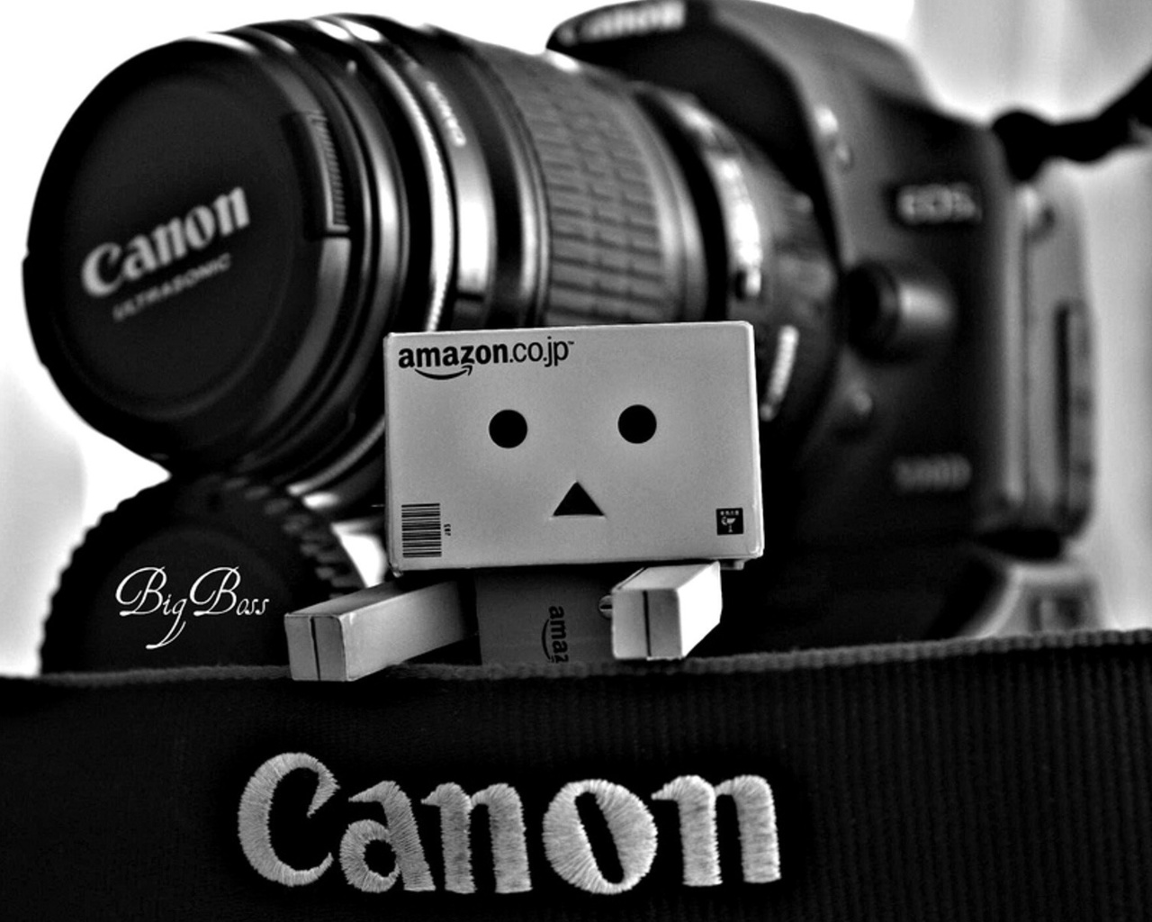 Danbo, canon, , , , , 