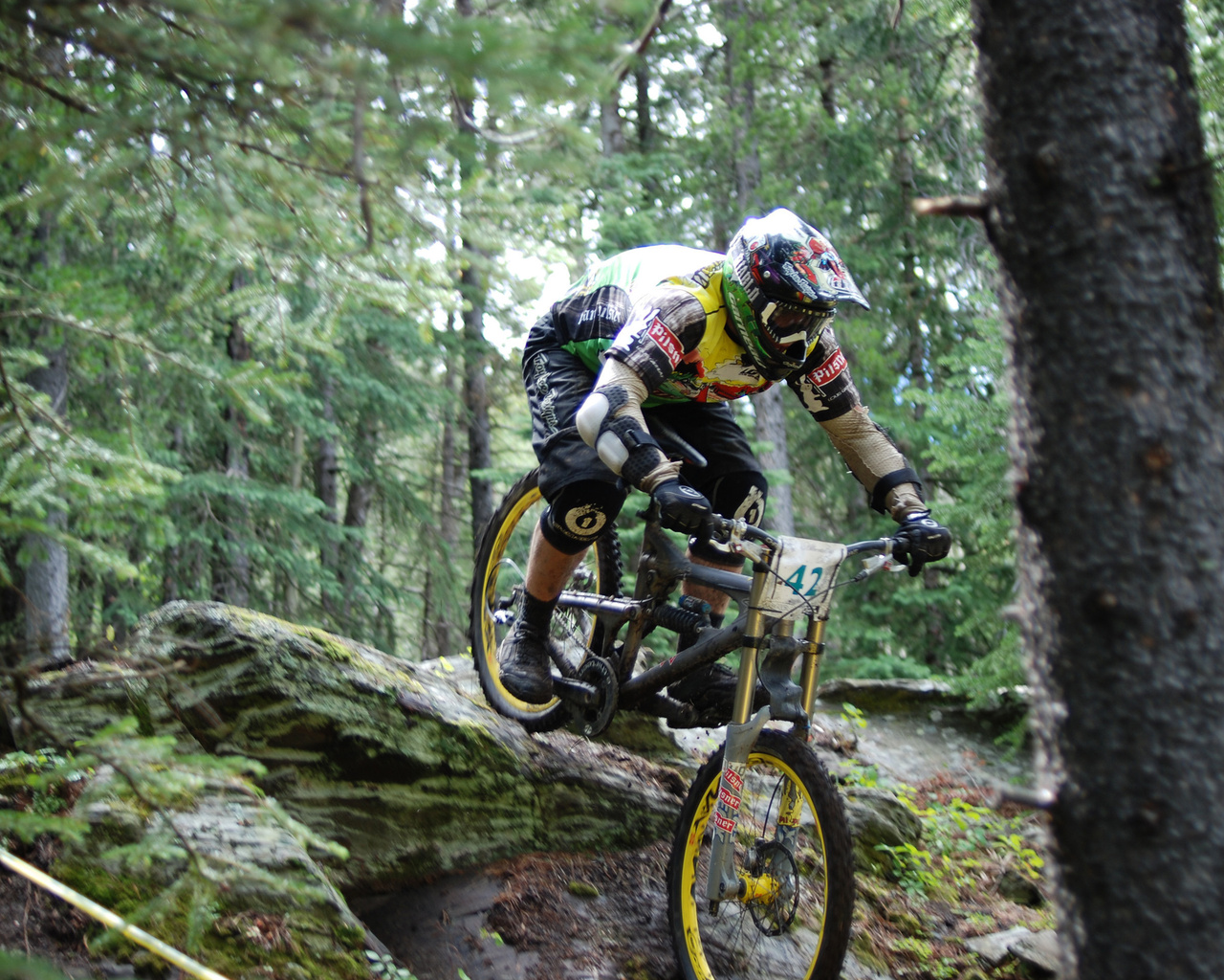 , downhill, dh, , , , 