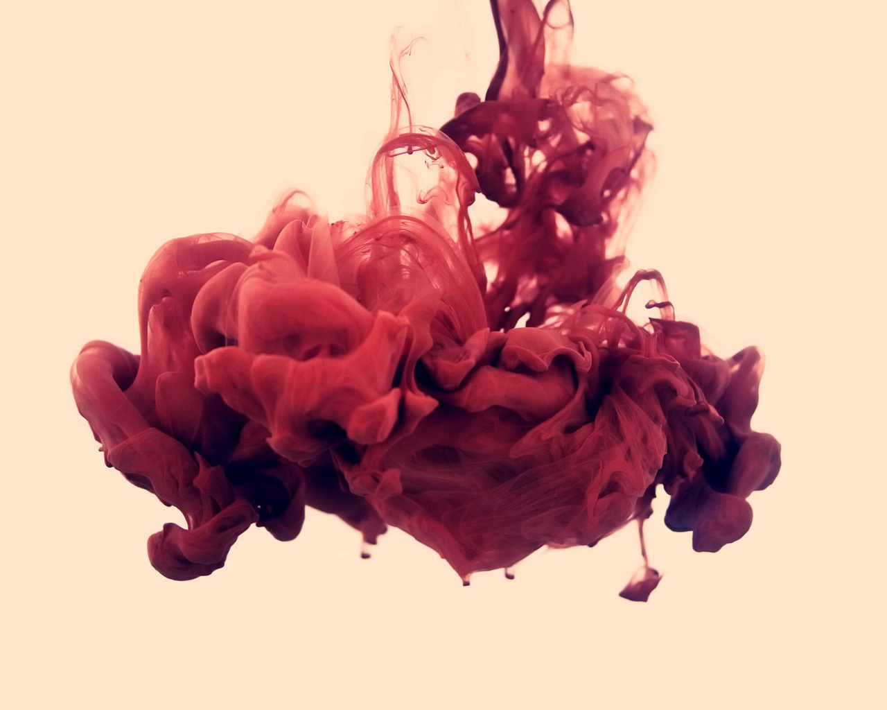 , , disastro ecologico, alberto seveso, , , . 