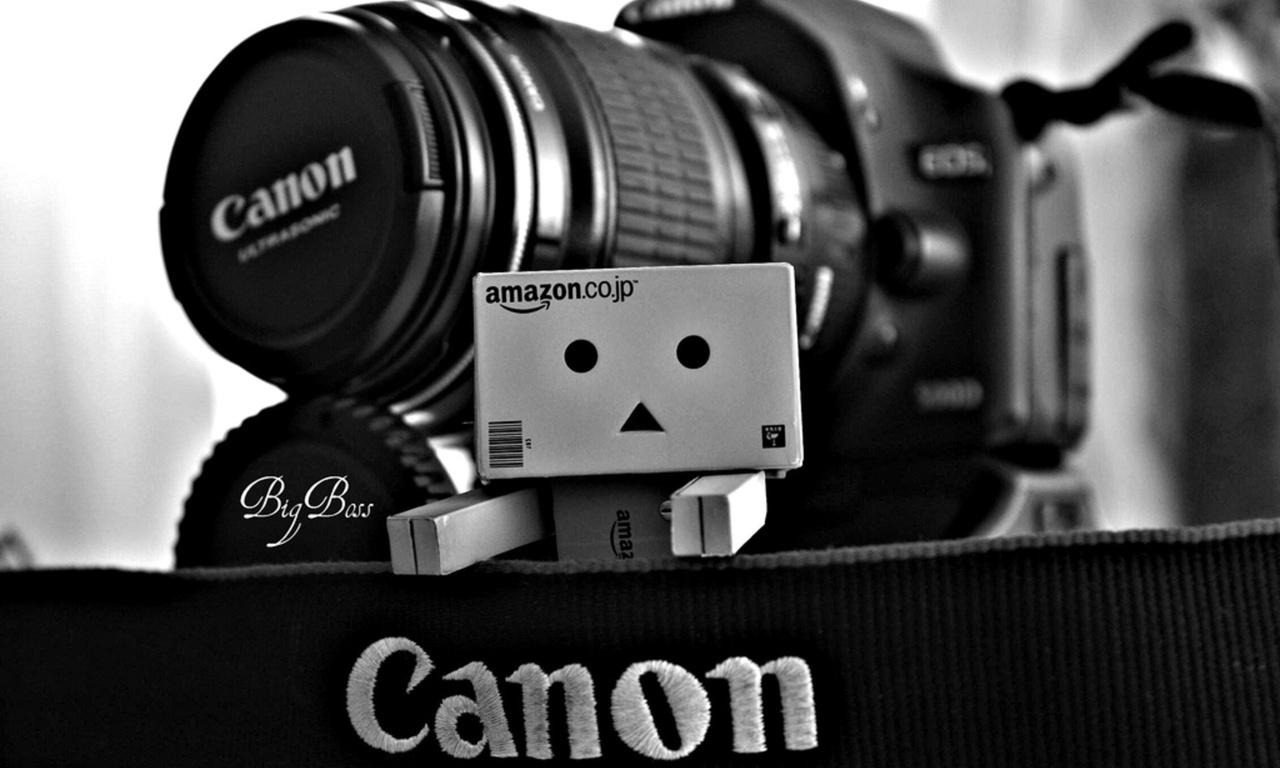 Danbo, canon, , , , , 