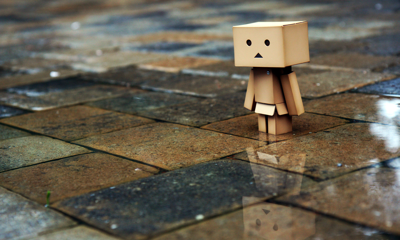 , , , Danbo, , , , , 