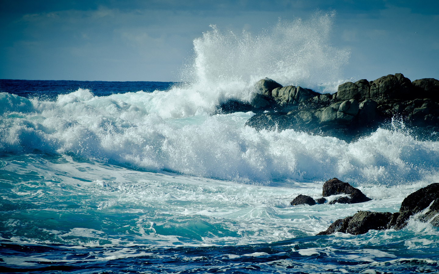 ,  , , , , , , , , , , , , , , , , california, monterey, , , , 