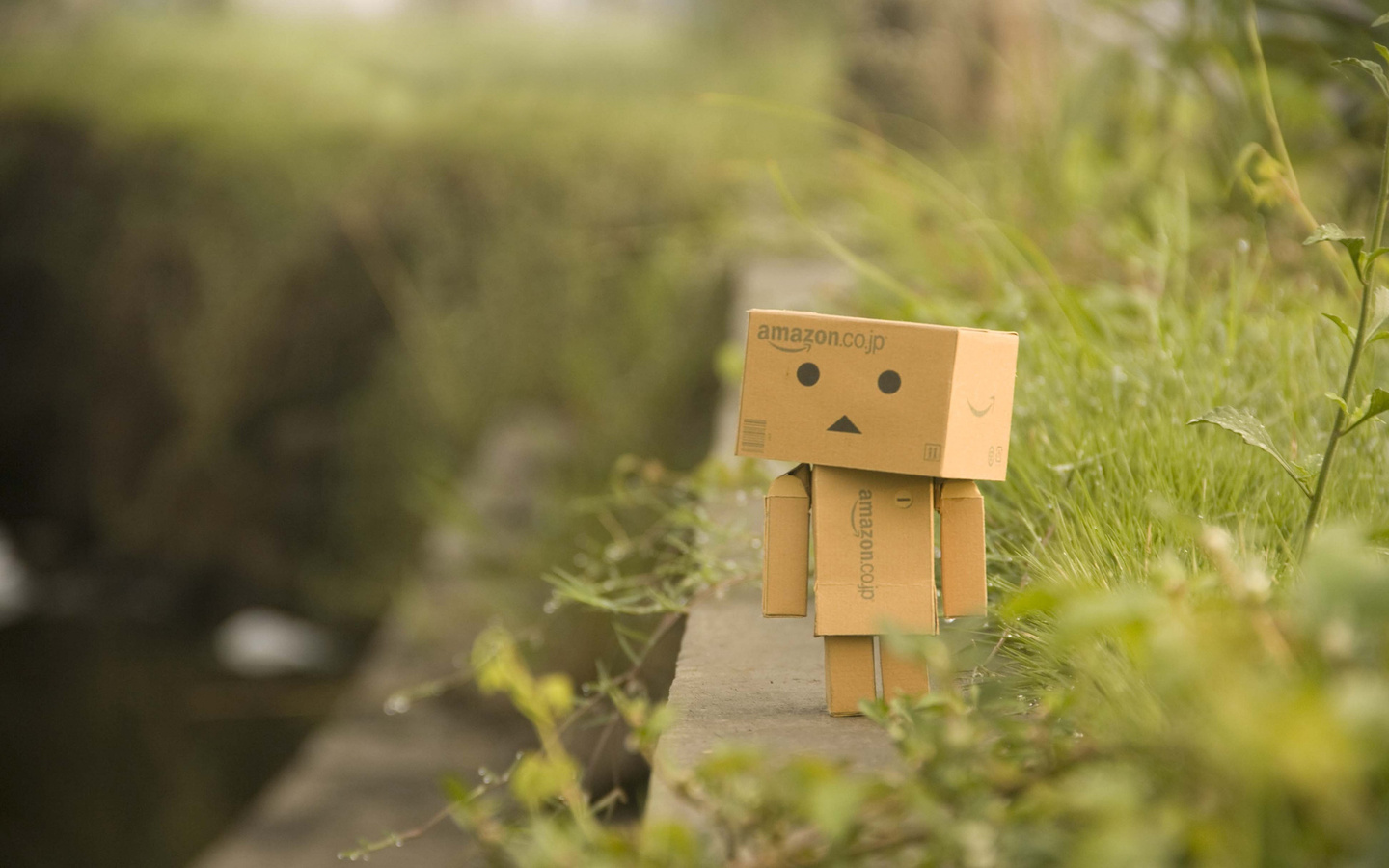 Danbo, , , , , , 