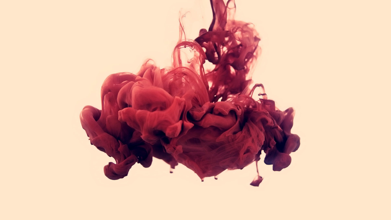 , , disastro ecologico, alberto seveso, , , . 