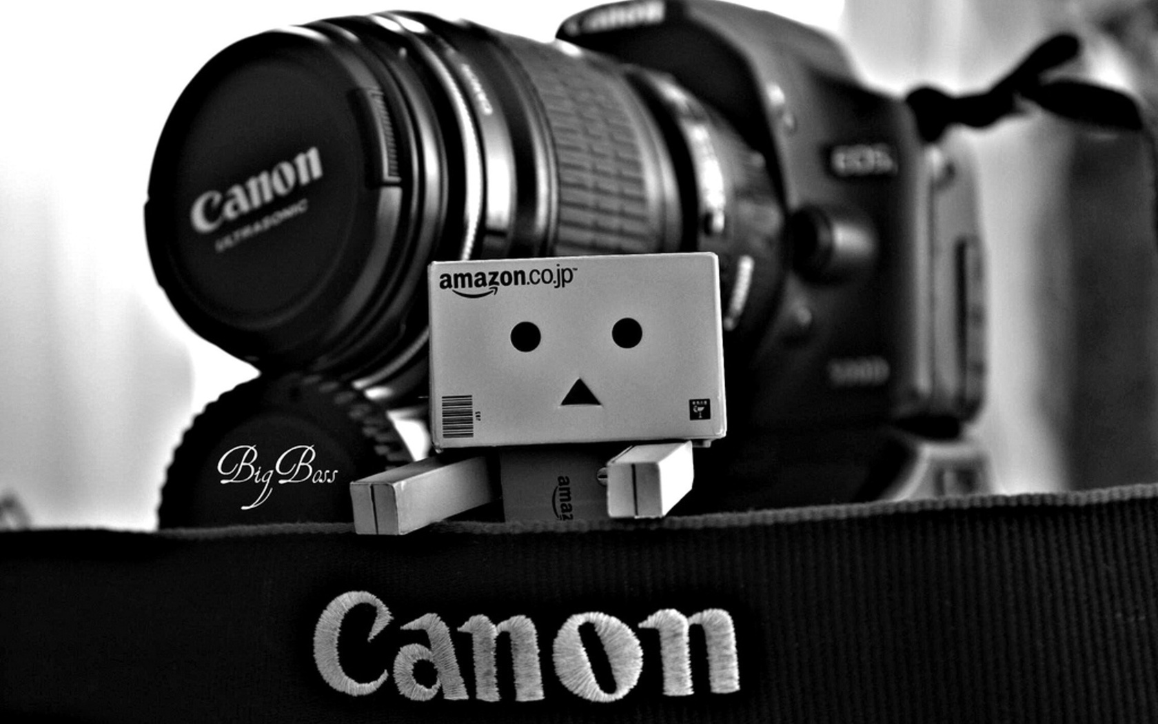 Danbo, canon, , , , , 