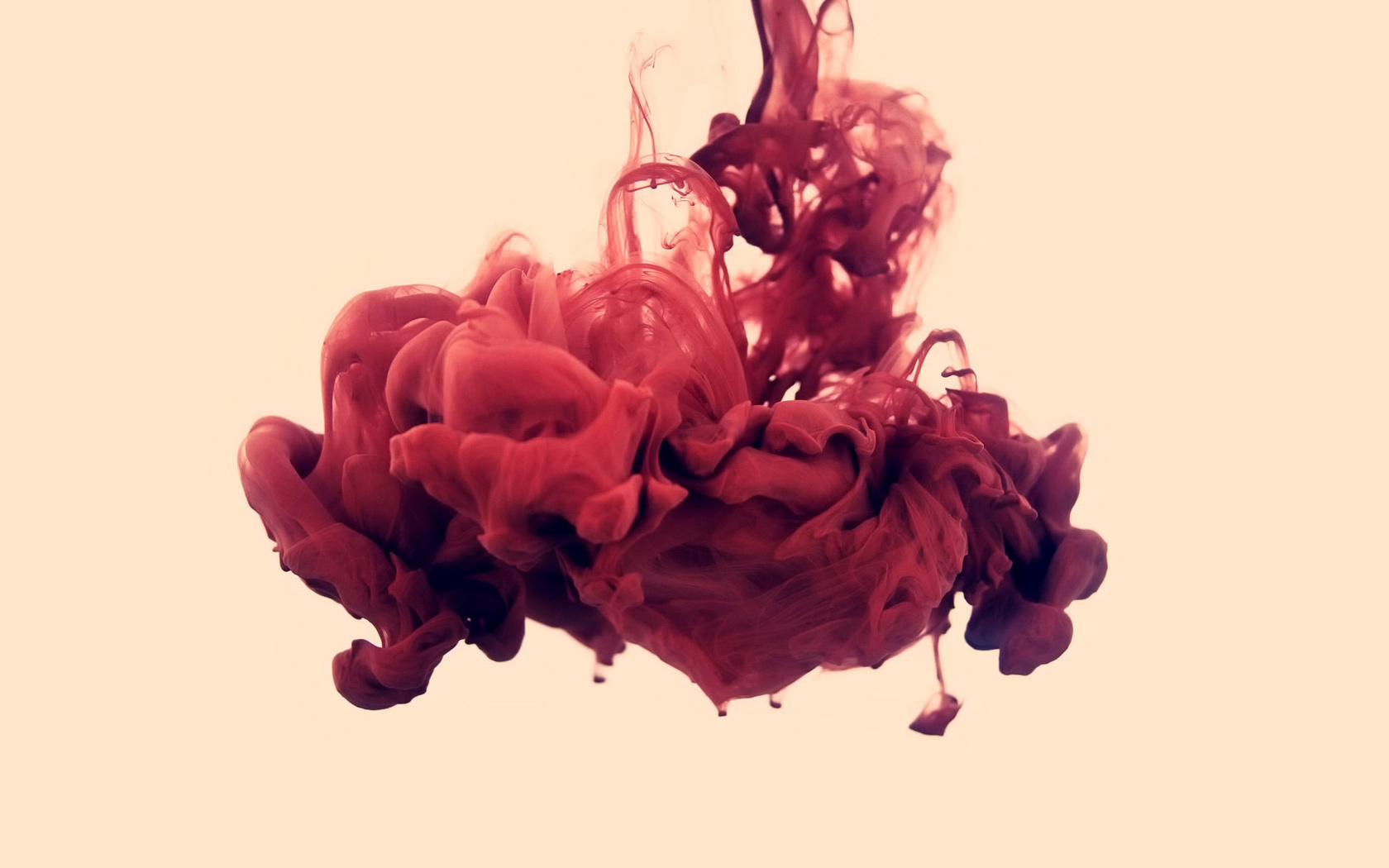 , , disastro ecologico, alberto seveso, , , . 