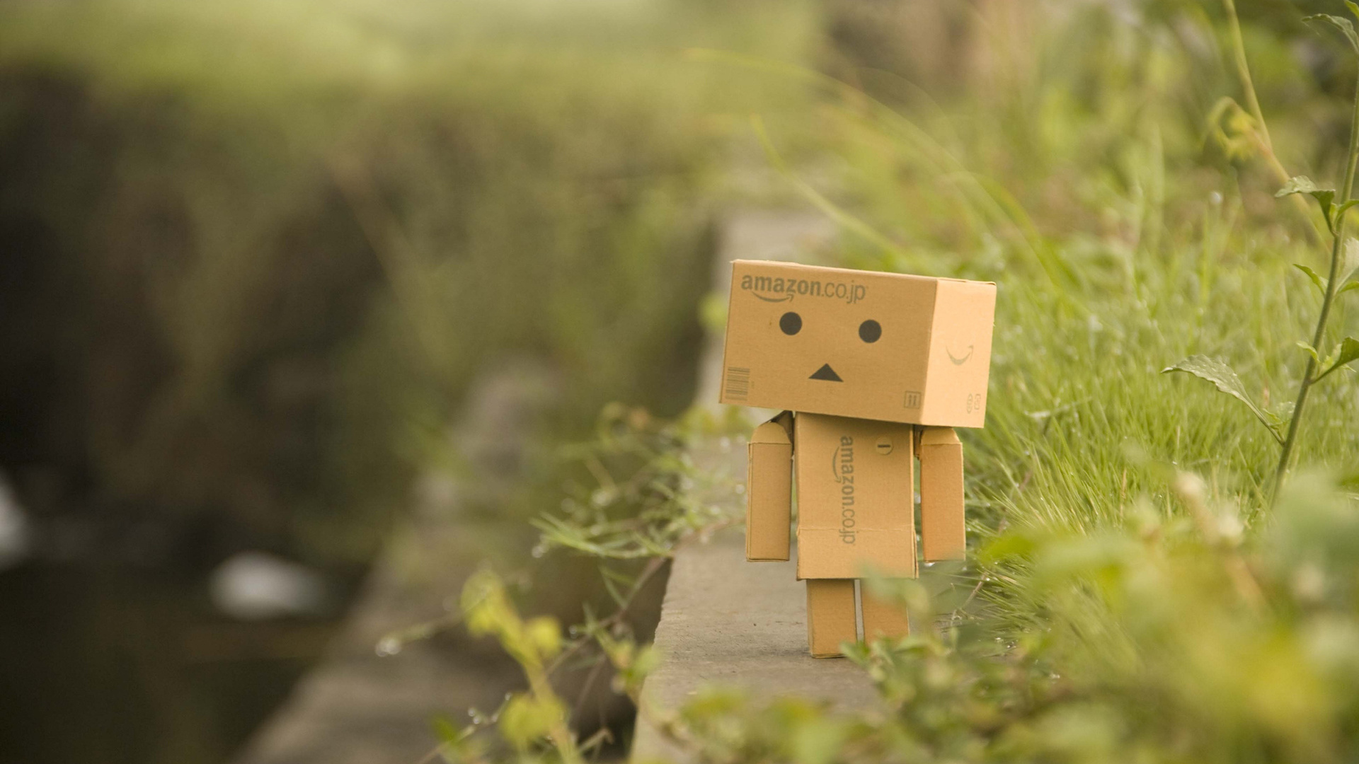 Danbo, , , , , , 