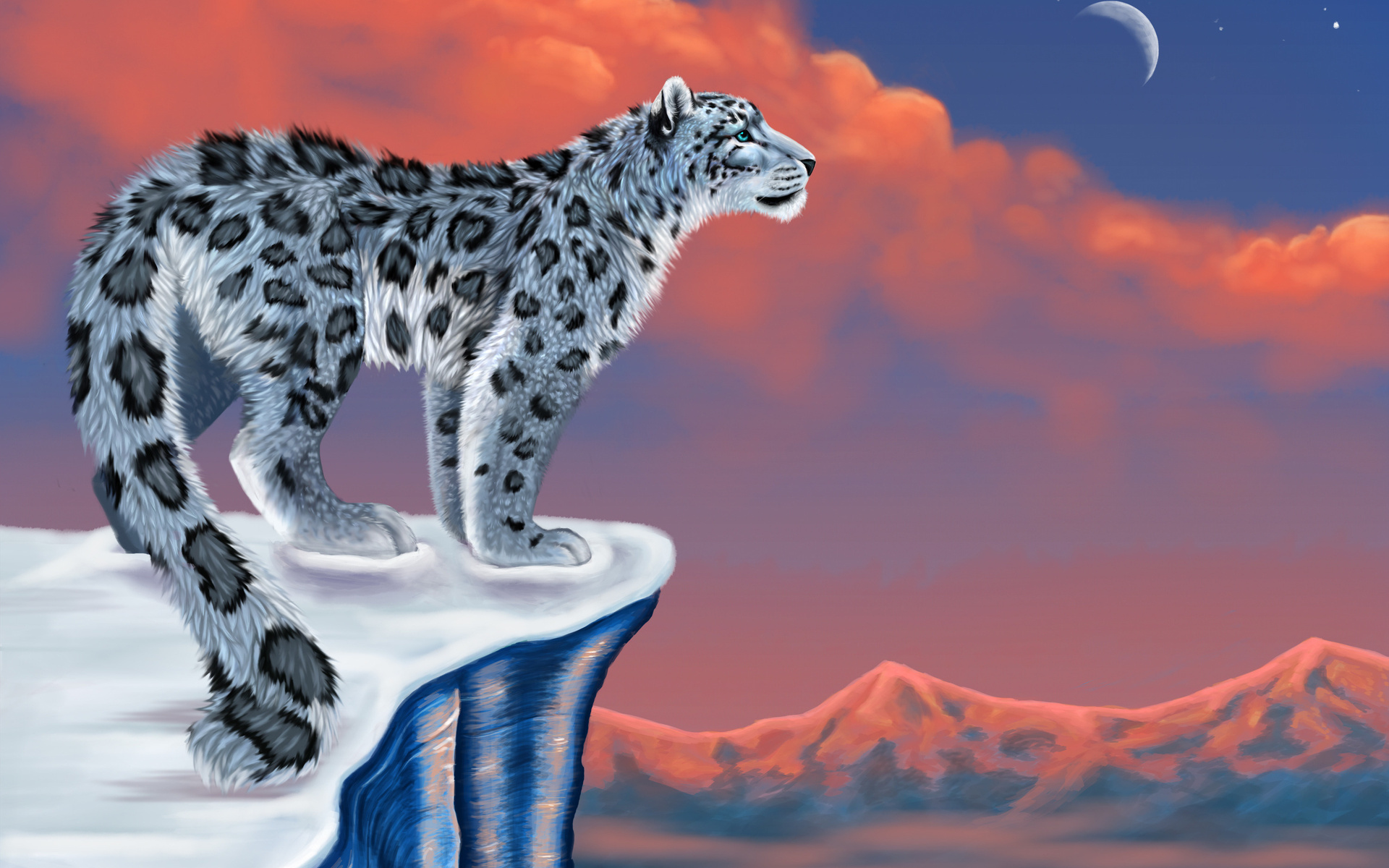 , , snow leopard,  , , , , , 