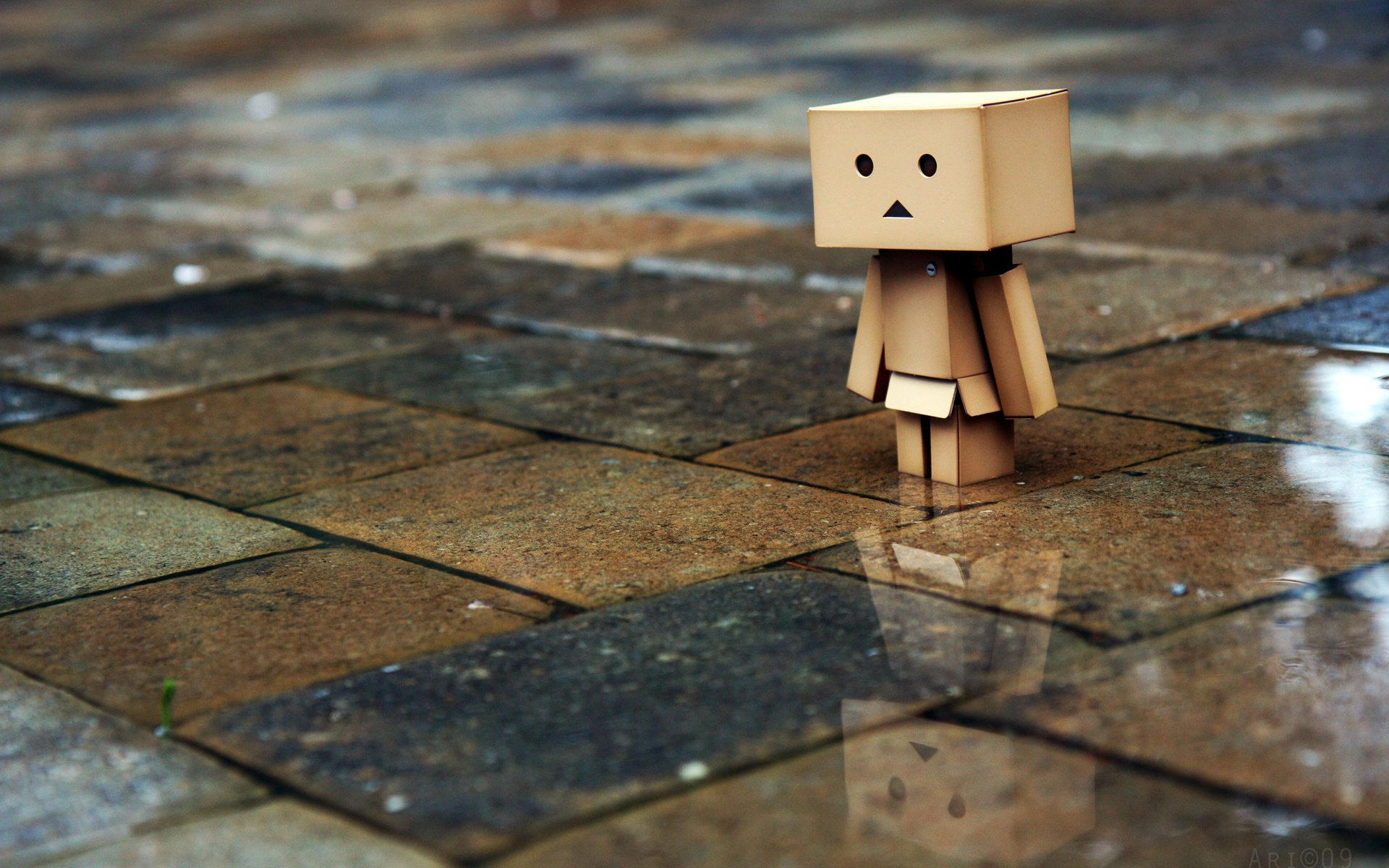 , , , Danbo, , , , , 