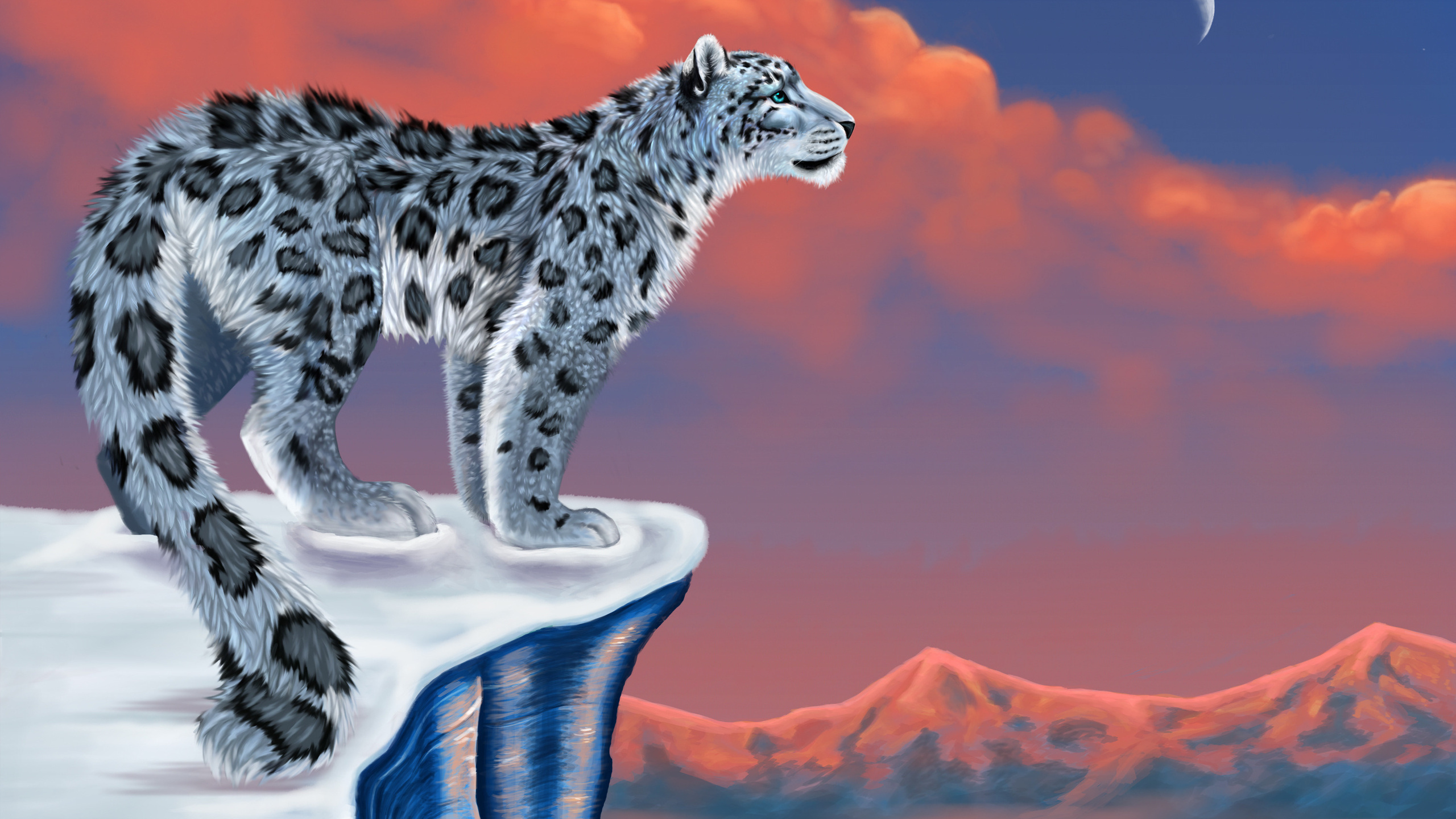 , , snow leopard,  , , , , , 