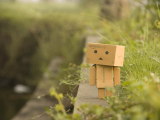 Danbo, , , , , , 