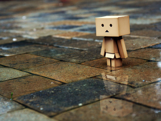 , , , Danbo, , , , , 