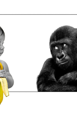 The person, gorilla, banana, friendship, ,,,, ,, , , 