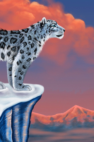 , , snow leopard,  , , , , , 