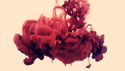 , , disastro ecologico, alberto seveso, , , . 