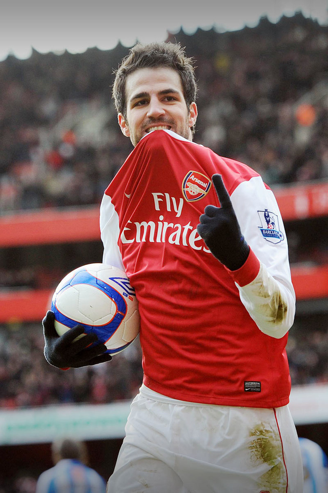 Fabregas, arsenal, football, , , , , , , , , , , , ,  