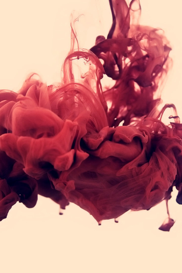 , , disastro ecologico, alberto seveso, , , . 