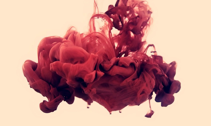 , , disastro ecologico, alberto seveso, , , . 