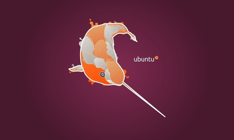 11.04, , Ubuntu, natty narwhal, linux, unity, , 