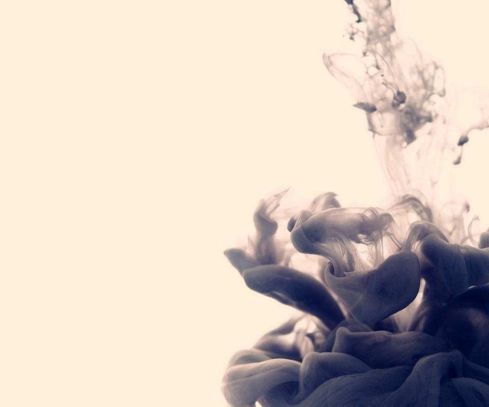 , , disastro ecologico, alberto seveso, , , , 