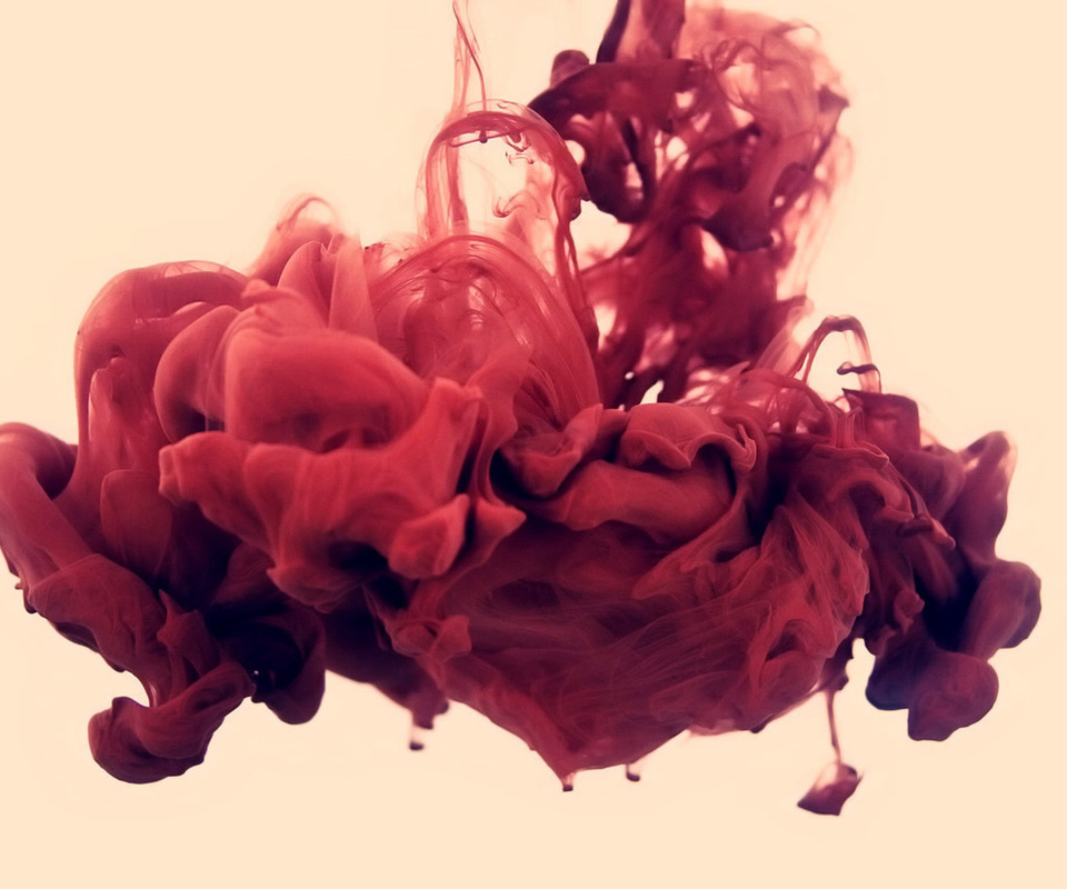 , , disastro ecologico, alberto seveso, , , . 