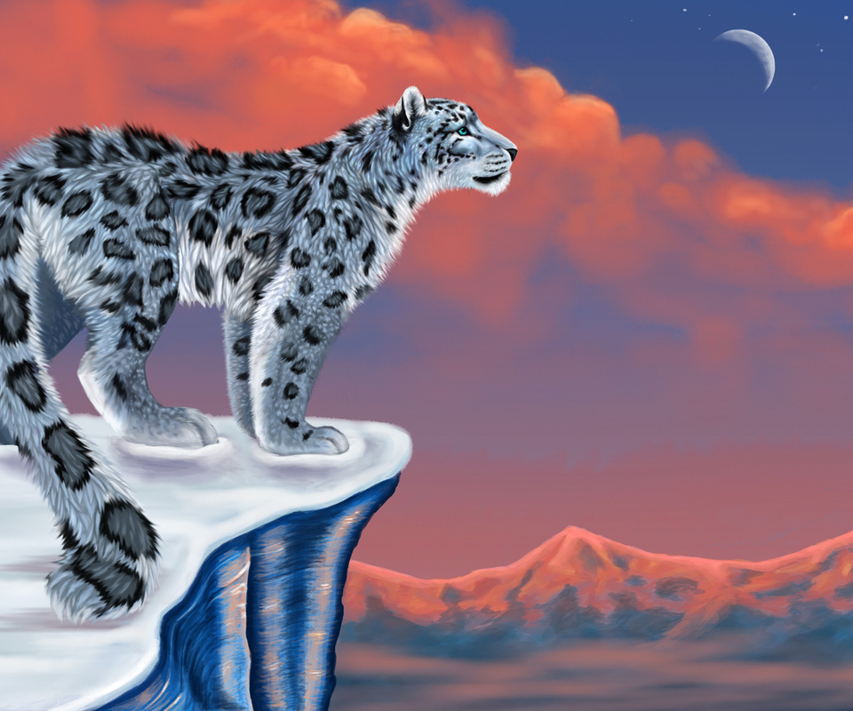 , , snow leopard,  , , , , , 