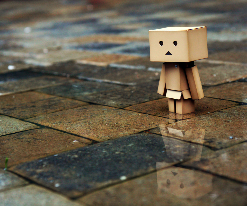 , , , Danbo, , , , , 