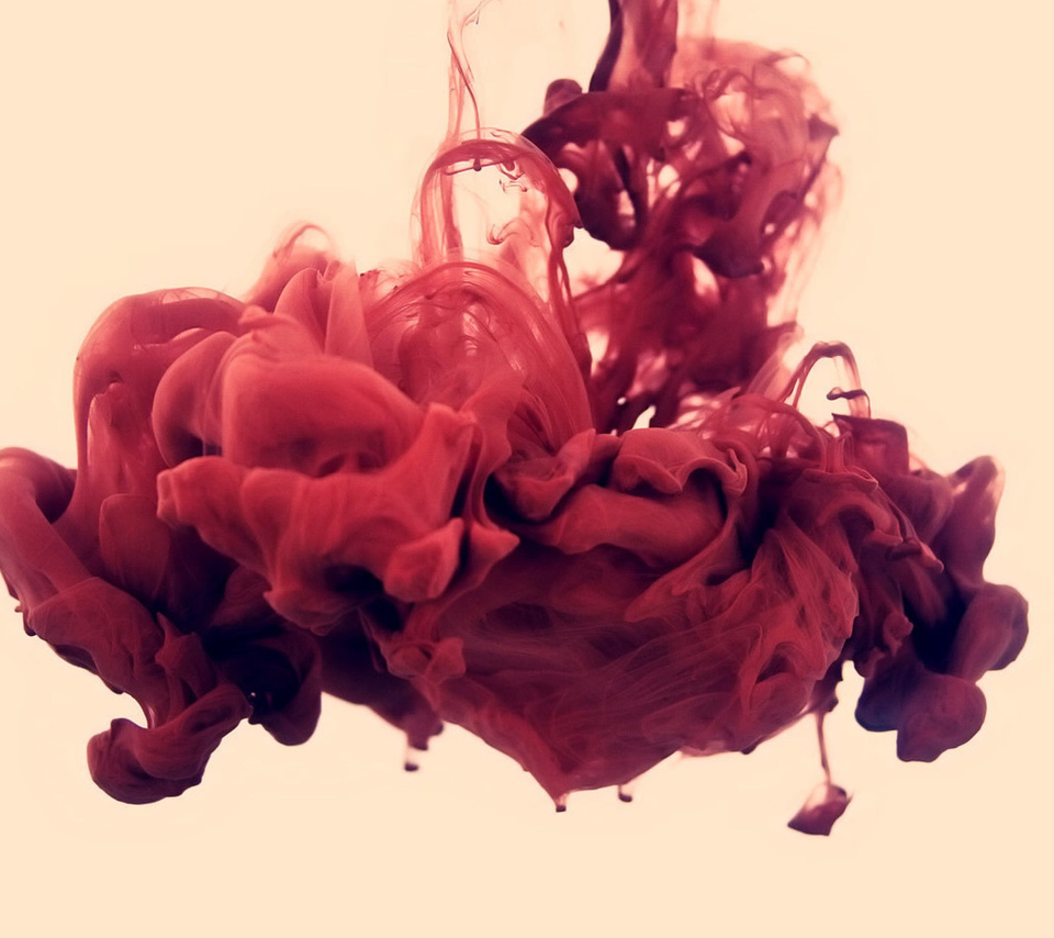 , , disastro ecologico, alberto seveso, , , . 