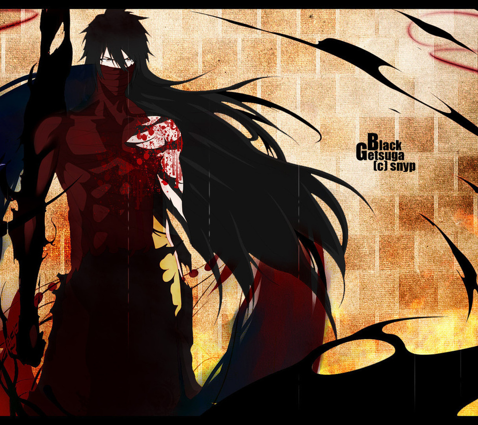 Bleach, kurosaki ichigo, , , -