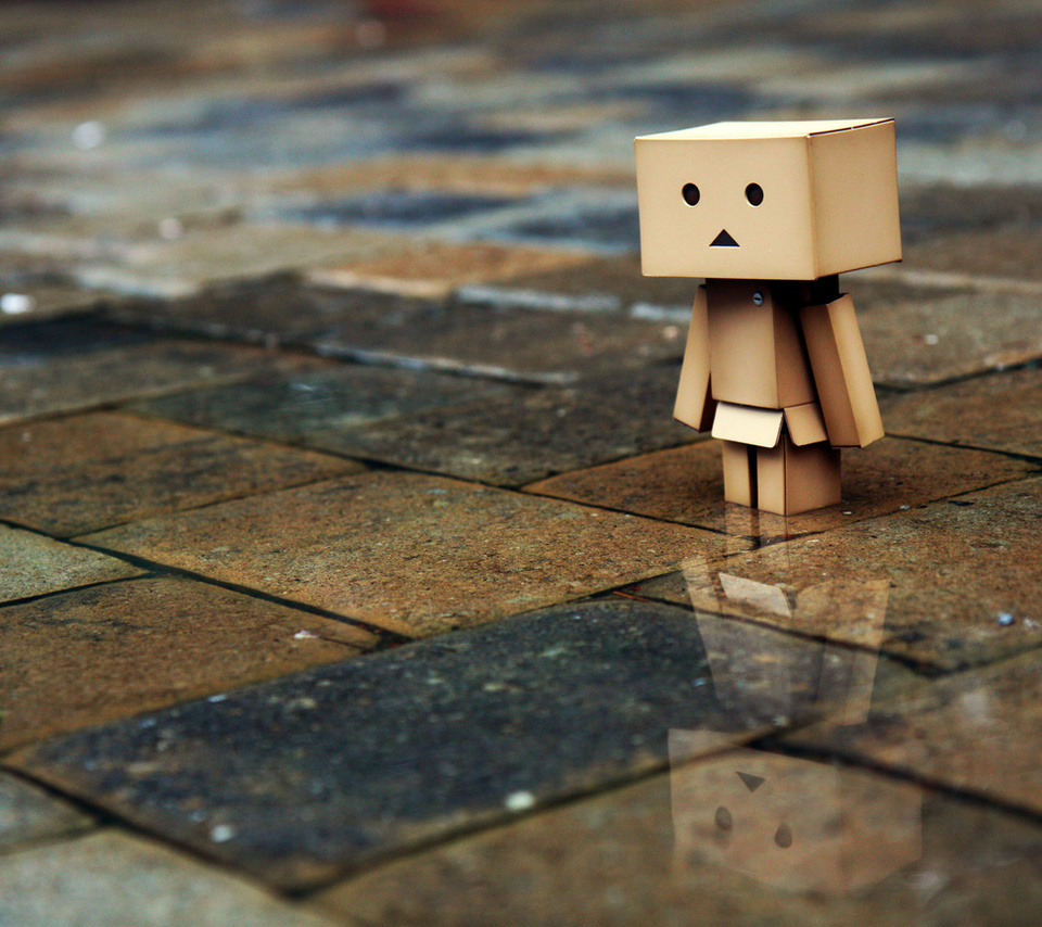 , , , Danbo, , , , , 